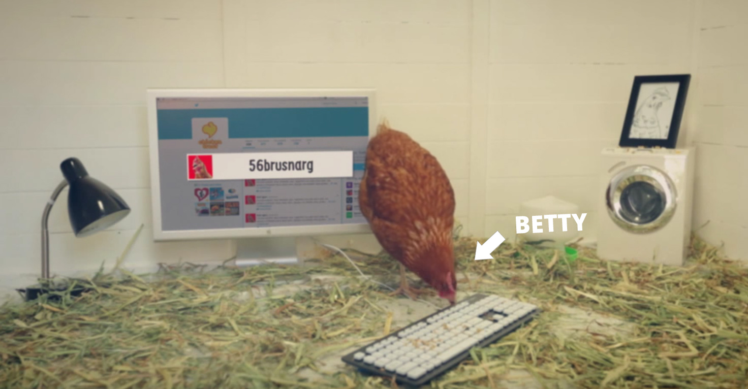 Kura nowym specjalistą od social media sieci Chicken Treat! Kura nowym specjalistą od social media sieci Chicken Treat!