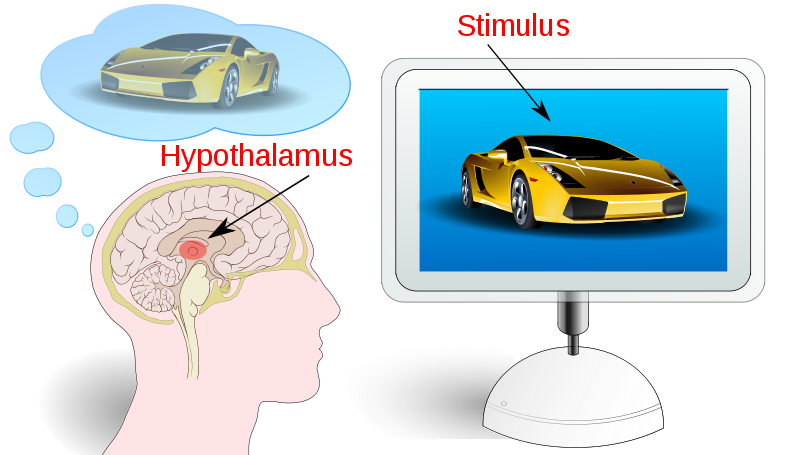 Neuromarketing – czym jest, jak wykorzystać go w badaniach? Neuromarketing – czym jest, jak wykorzystać go w badaniach?